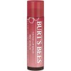 Burt's Bees Tinted Lip Balm Red Dahlia 4.25g