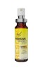 Rescue Remedy Spray 20ml