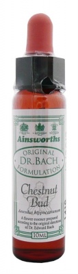 Ainsworths Chestnut Bud 10ml