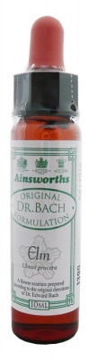 Ainsworths Elm 10ml