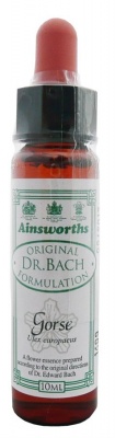 Ainsworths Gorse 10ml