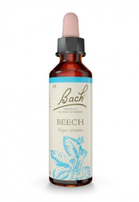 Bach Beech 20ml