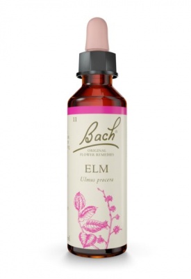 Bach Elm 20ml