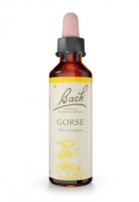 Bach Gorse 20ml