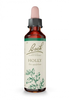 Bach Holly 20ml