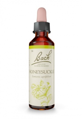 Bach Honeysuckle 20ml