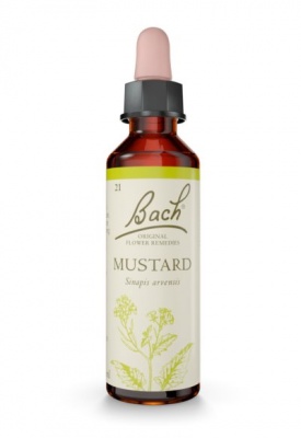 Bach Mustard 20ml