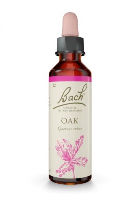 Bach Oak 20ml