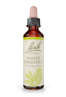 Bach White Chestnut 20ml