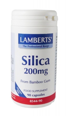 Lamberts Silica 200mg 90 caps