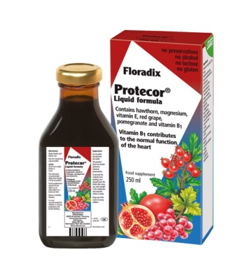 Salus Floradix Protecor 250ml