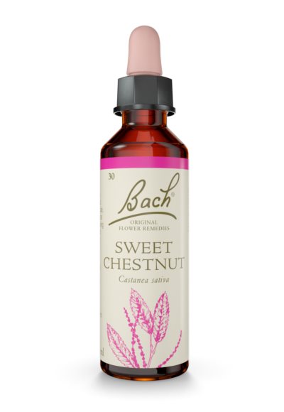 Bach Sweet Chestnut 20ml